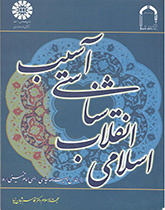 The Pathology of the Islamic Revolution