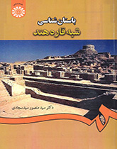 Indian Sub-Continenental Civilization