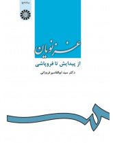 The Ghaznavid's Rise & Fall