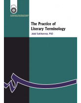 The Practice of Literary Terminology
