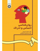 Sensation and Perception Psychology