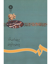 پرسپکتیف (دورنما)