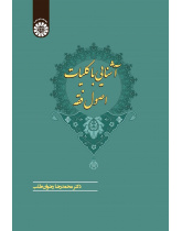 Introduction to Principles of Jurisprudence