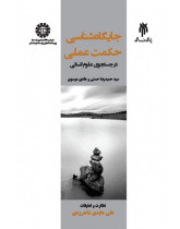 After Practical Wisdom: The Pursuit of Social Sciences and Humanities