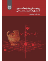 Advanced Statistical Methods in Archaeological Data Analysis
