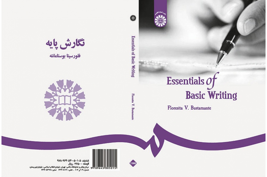 Essentials of Basic Writing