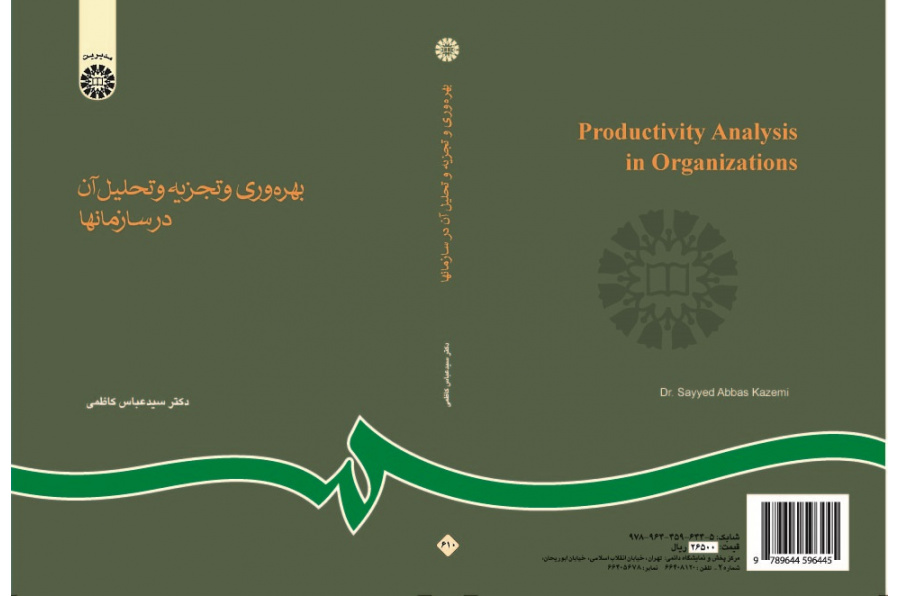 Productivity Analysis in Organizations