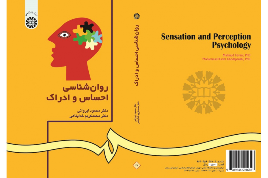Sensation and Perception Psychology