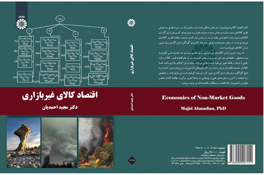 Economics of Non-Market Goods
