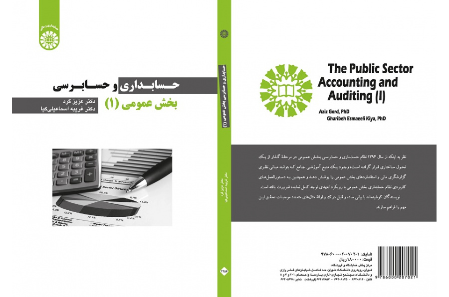 The Public Sector Accounting and Auditing (I)