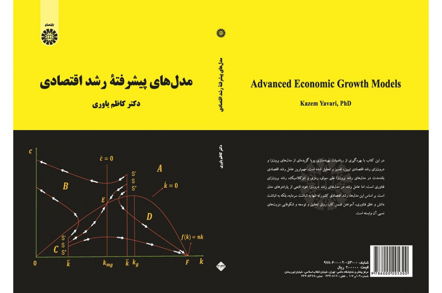 Advanced Economic Growth Models