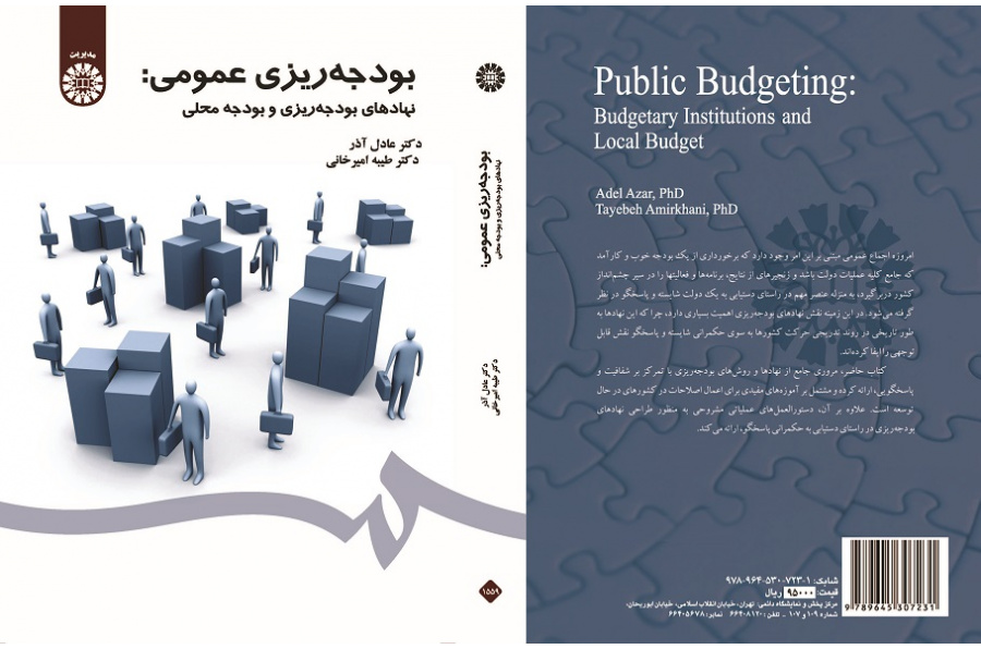 Public Budgeting: Budgetary Institutions and Local Budget