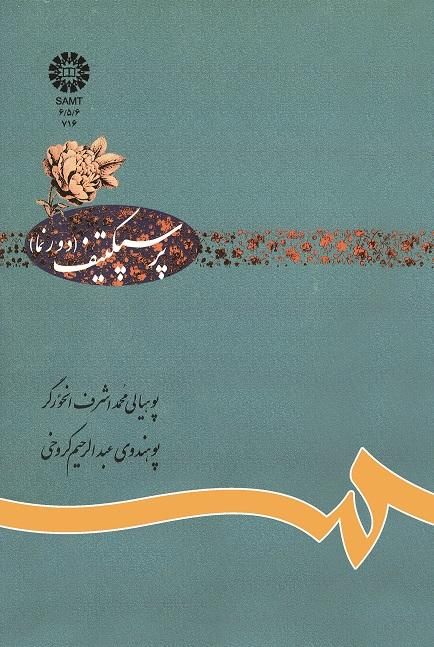 پرسپکتیف (دورنما)