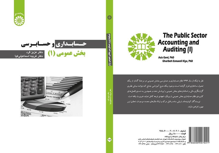 The Public Sector Accounting and Auditing (I)